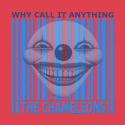 The Chameleons : Why Call It Anything
